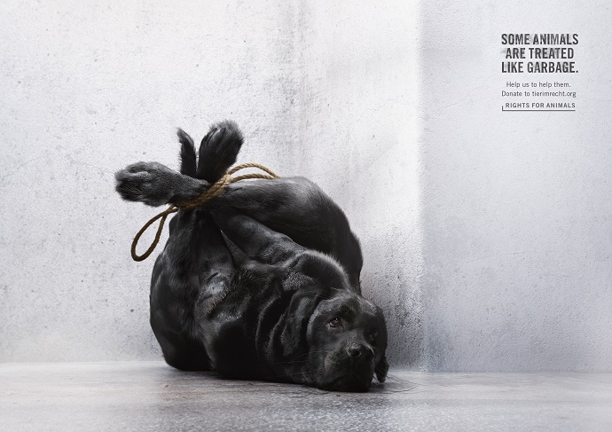 Startling Animal Welfare Campaign Shows Pets as Garbage Bags