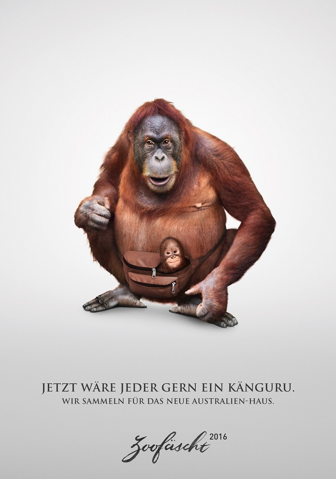zoofaescht-update_2016_3-orangutan_0-small