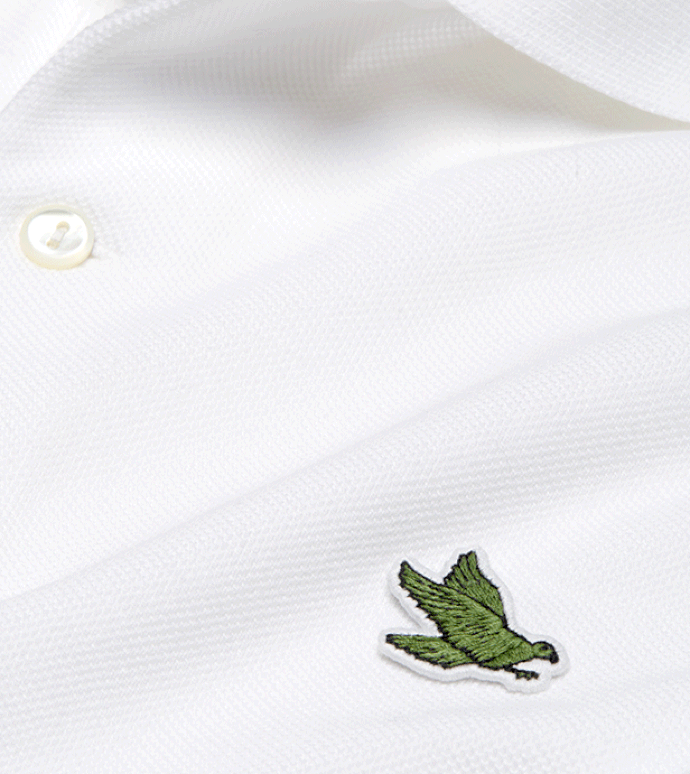 lacoste t shirts first copy india