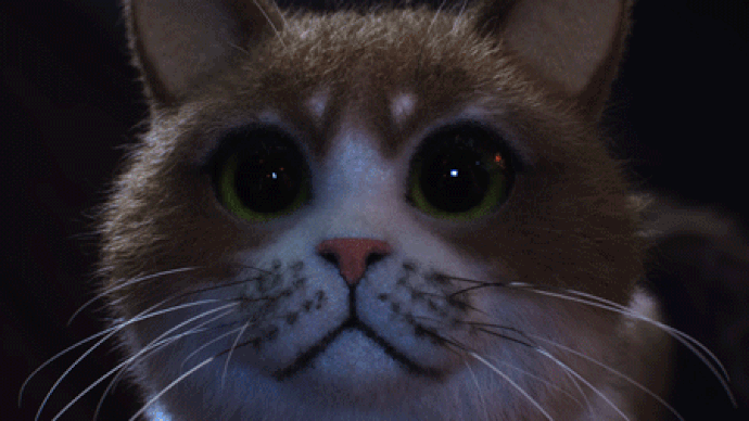 Scaredy Cat Temptations 2020 Animated Short Film