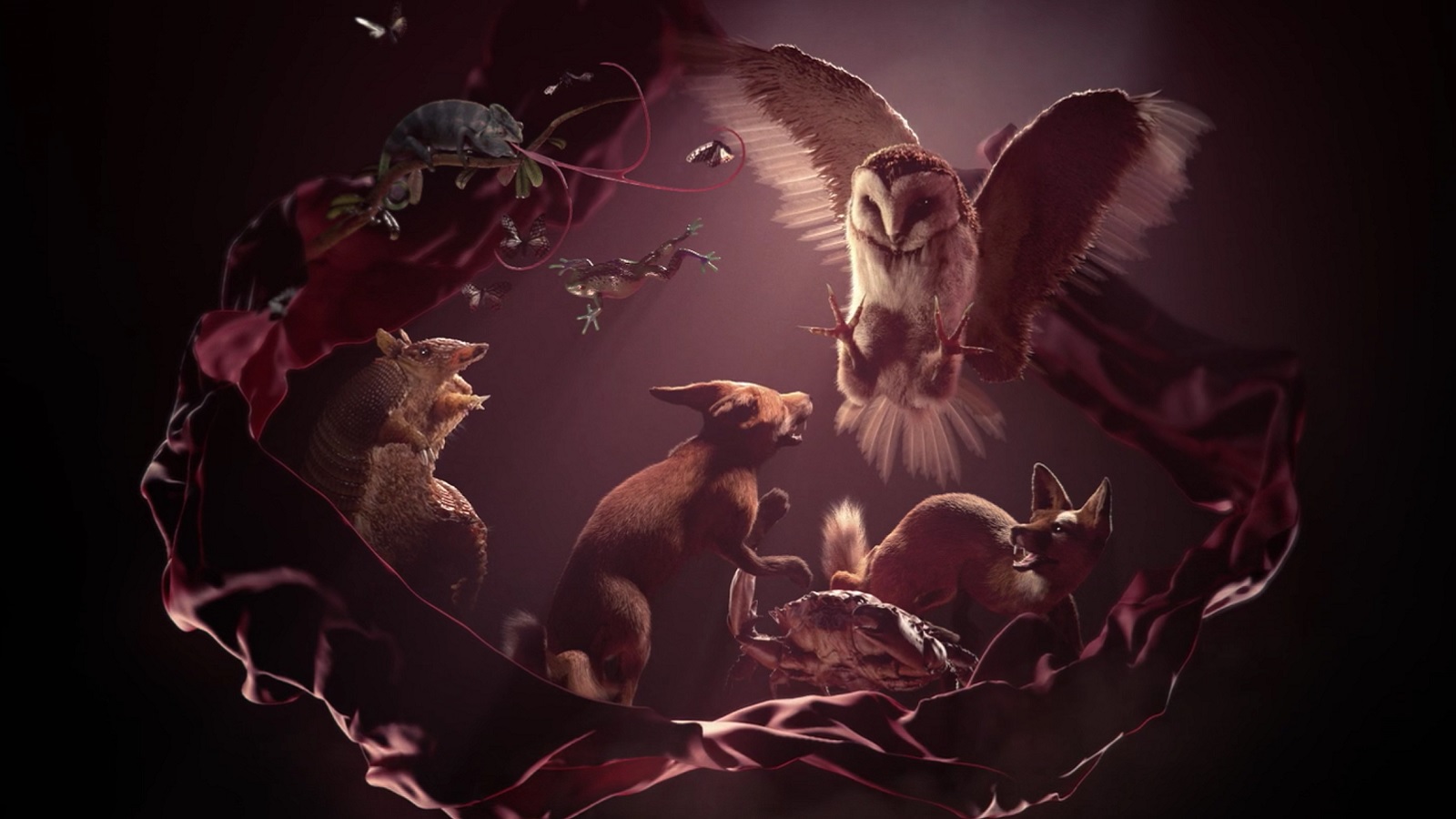 Watch Clash of 3D-Modelled Animals