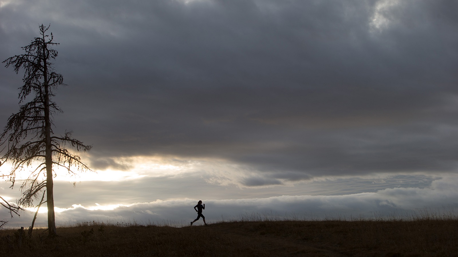 Johnnie Walker Urges America to Keep Walking In Stories of Progress & Diversity