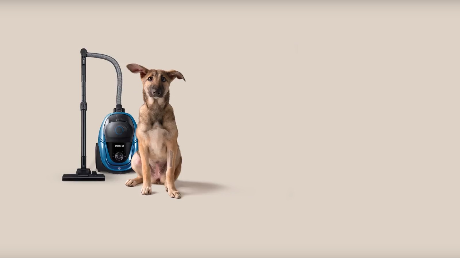 Samsung Untangles Dog Adoption Doubts with Useful Gift