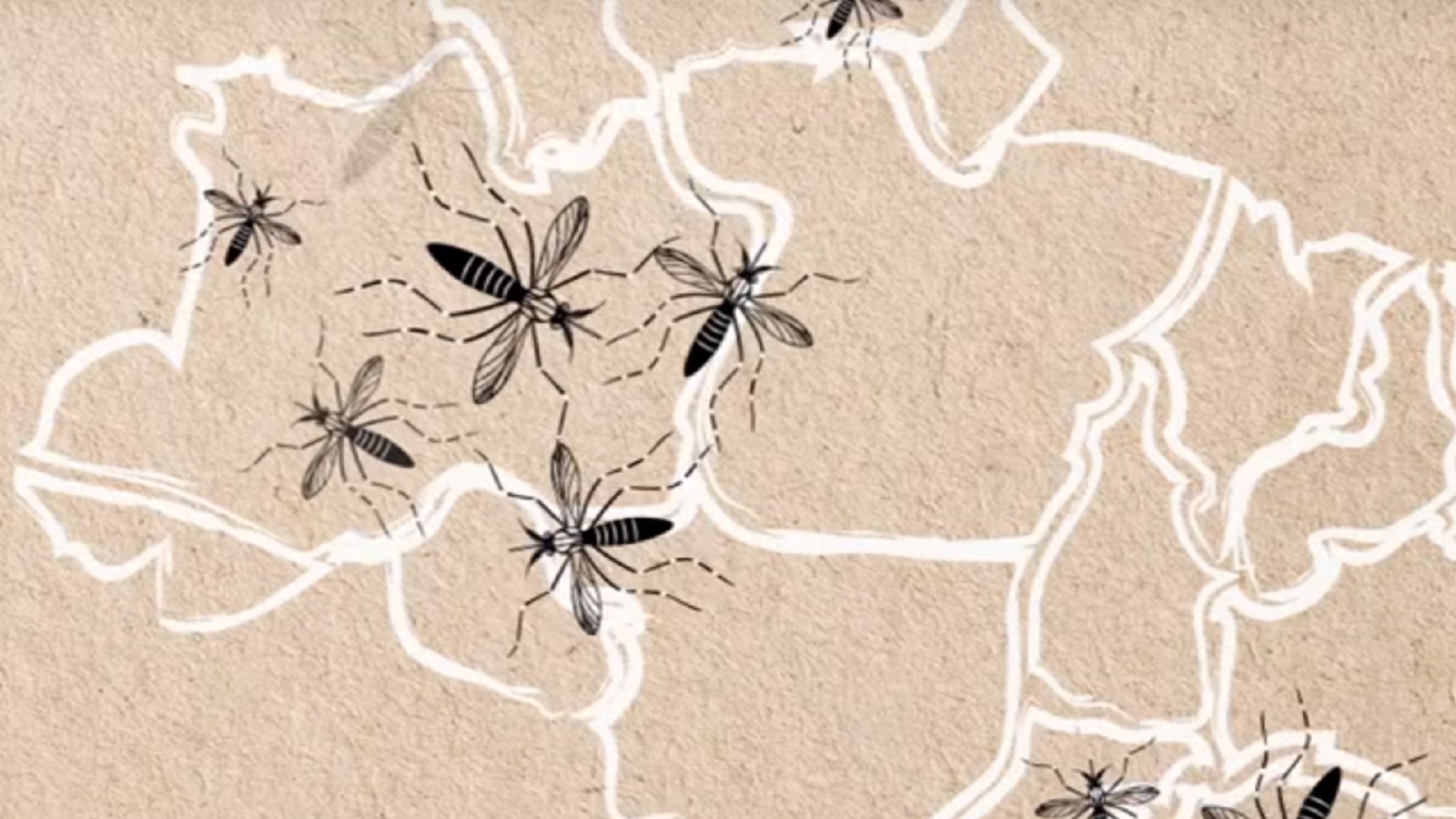 #TBT: Amazon Warriors Summoned to Crush Mosquitoes
