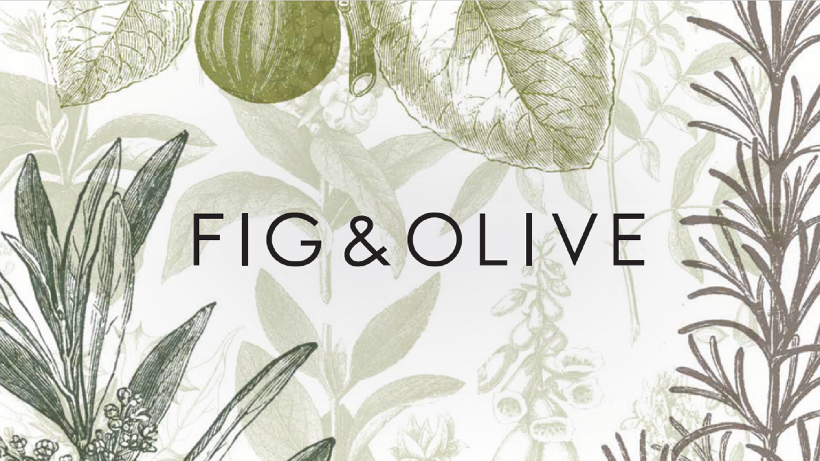 Nurture Your Creativity with Fig & Olive’s Visual Identity
