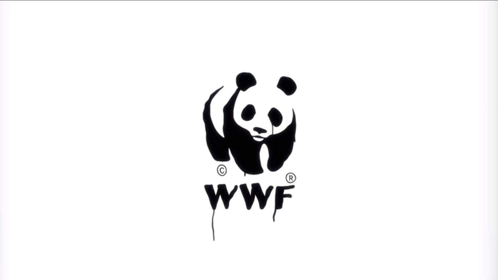 It’s Us, Humans, Who Are in Danger, Says WWF