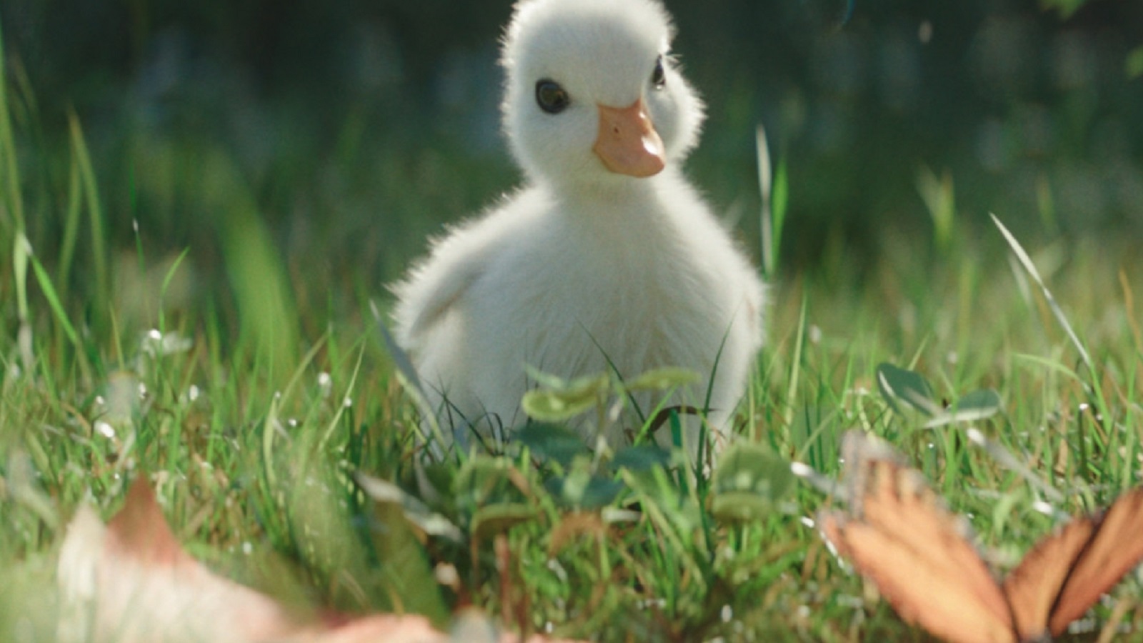 Cute, Adorable Duck Meets Its Idol at Disneyland