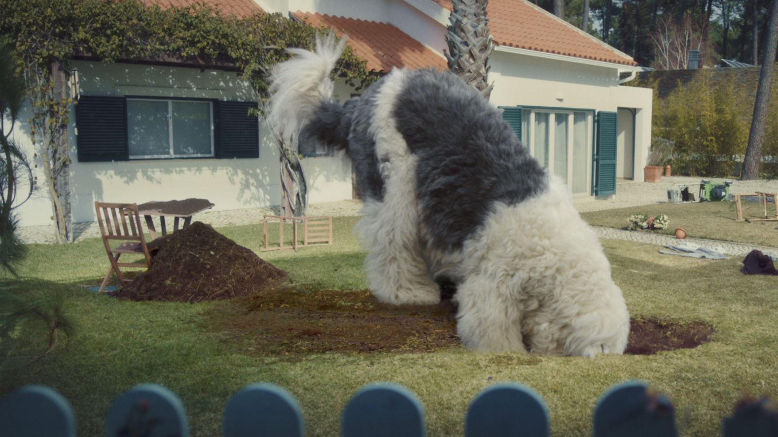 ŠKODA Invites You to Buckle up Your Huge Dog