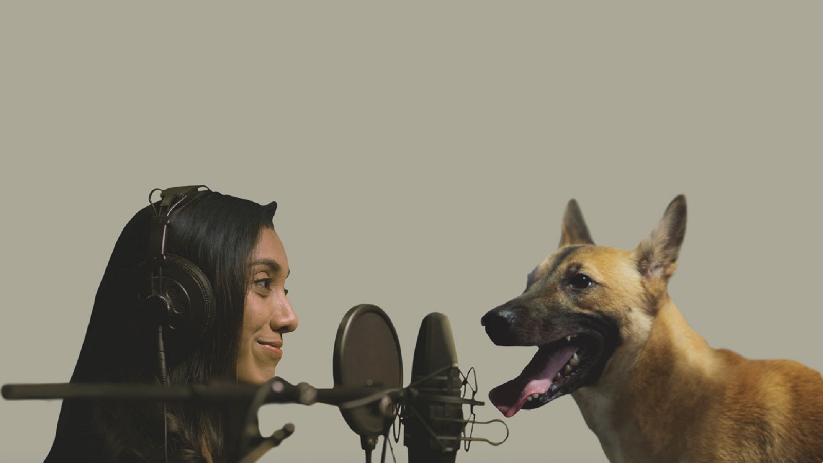 Shelter Dogs Borrow Human Voices to Share Their Stories