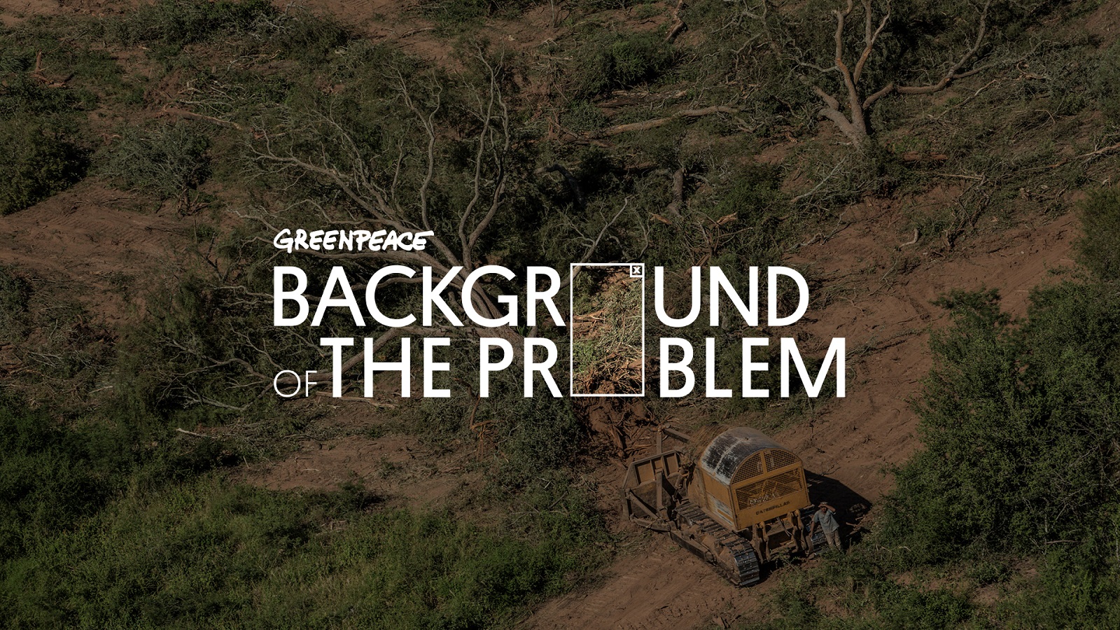 Greenpeace Fights Illegal Logging with New Backgrounds
