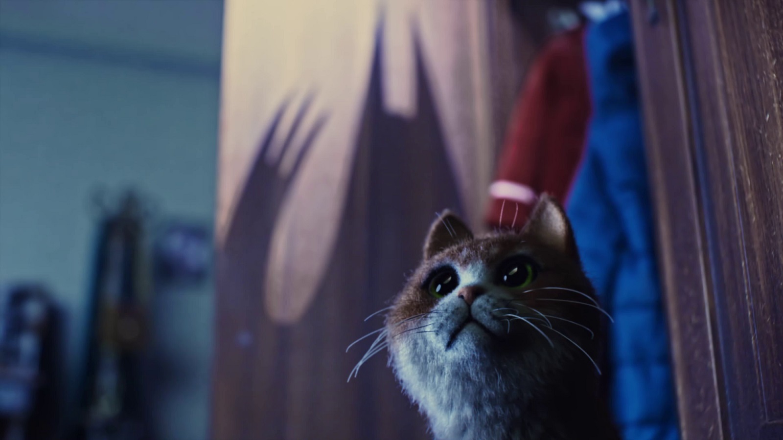 Spooky Movie Tells the Frightening Tale of a Cat