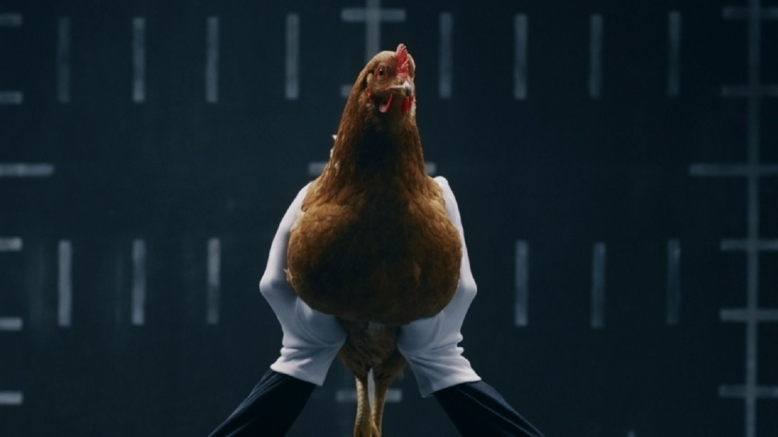 #TBT: What’s the Resemblance Between a Mercedes Car and a Chicken?