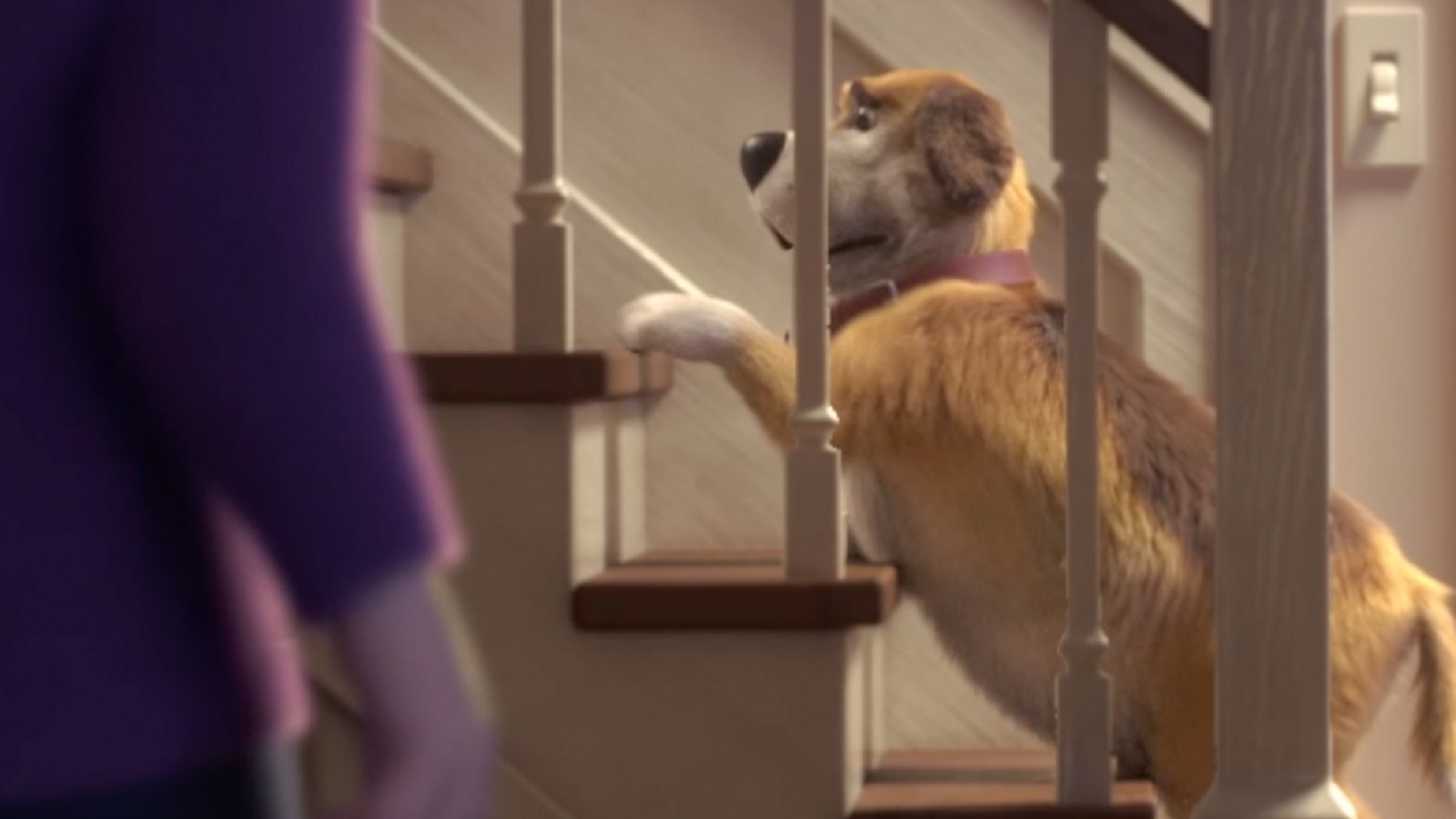 Heartwarming Ads Highlight the Dangers of Pet Obesity