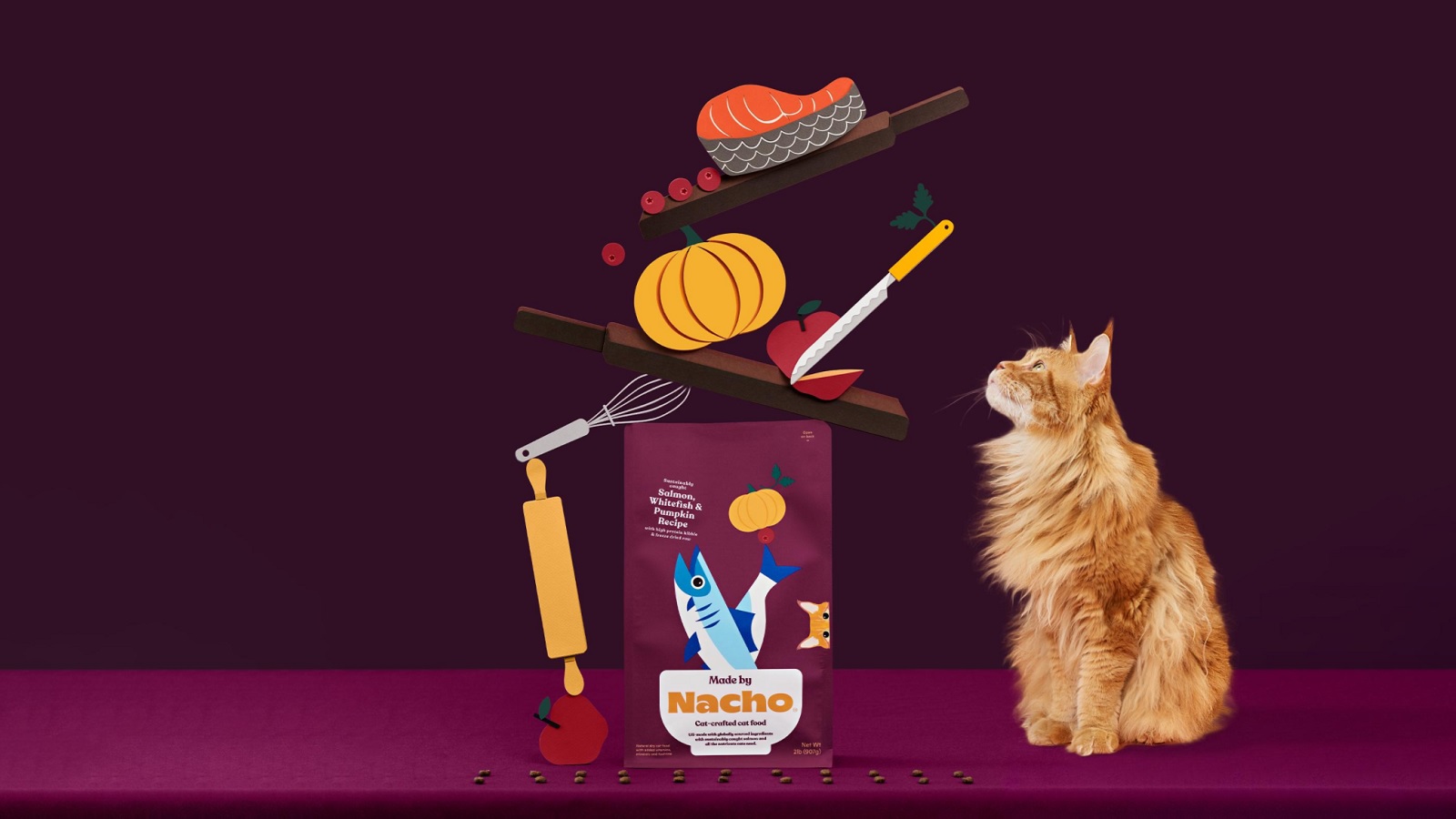 Cat’s Mischievous Spirit Inspires Made by Nacho’s Digital Experience