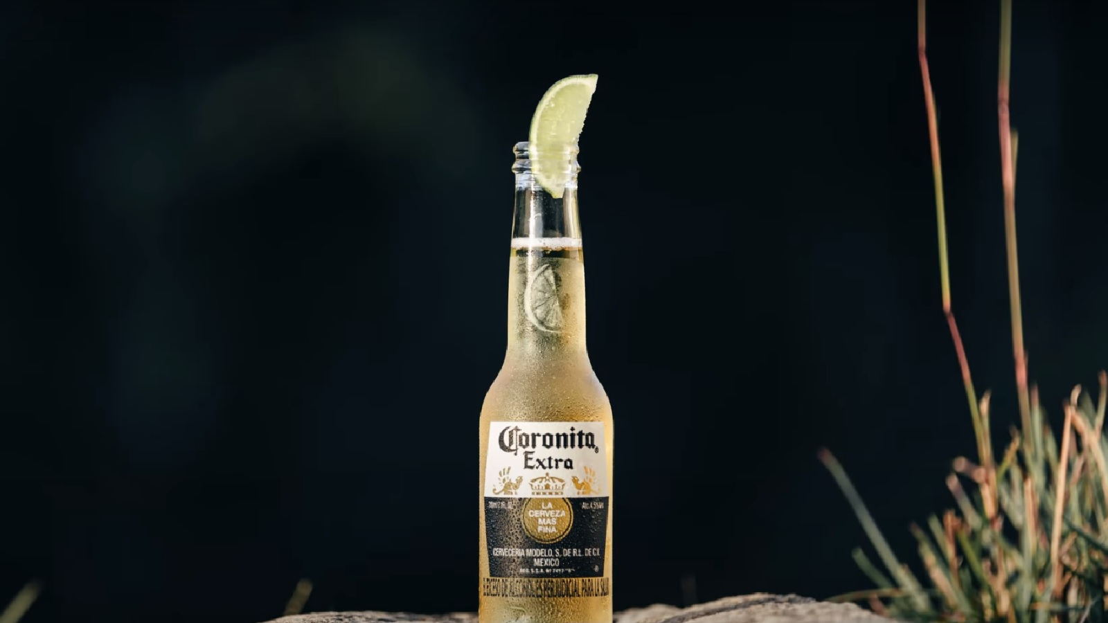 Corona Engraves the Lemon Ritual onto the Bottle’s Neck