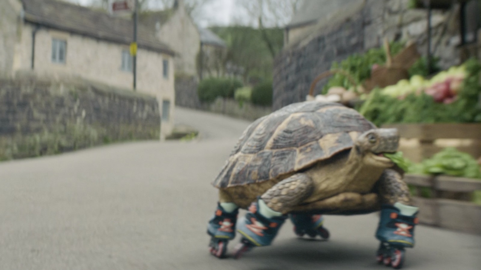 Turbo the Turtle Teaches Us How Enjoyable a Train Ride Can Be