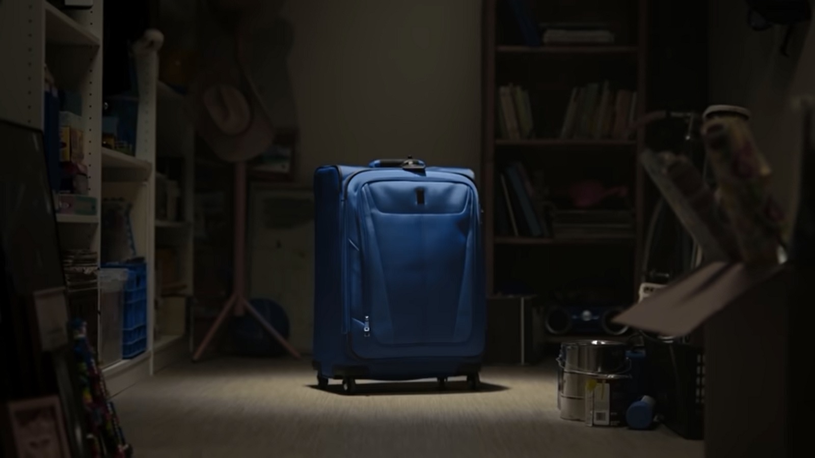 Forgotten Suitcase Complains About the Past 16 Months
