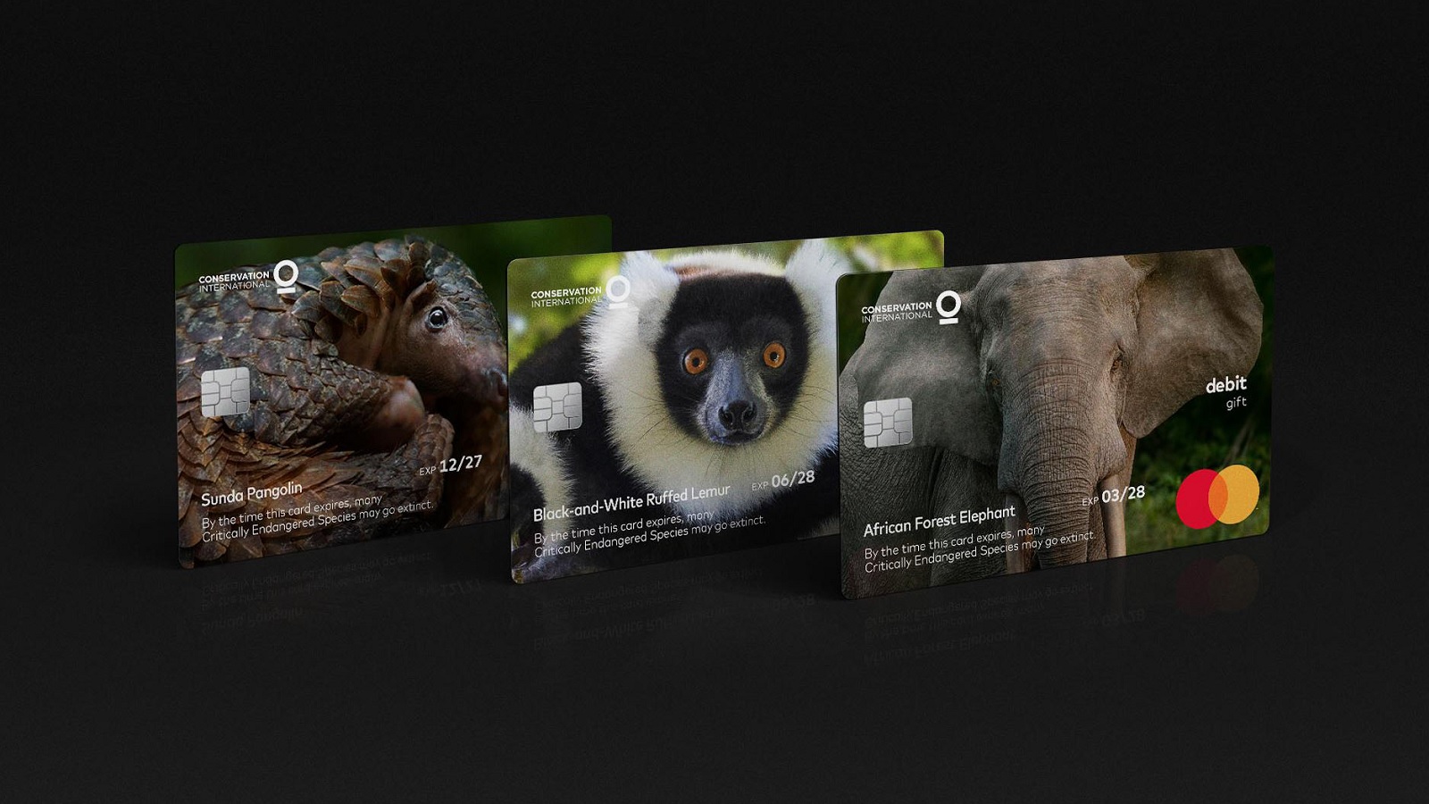 #TBT: Mastercard Puts Cards’ Expiry Date in the Context of Endangered Species