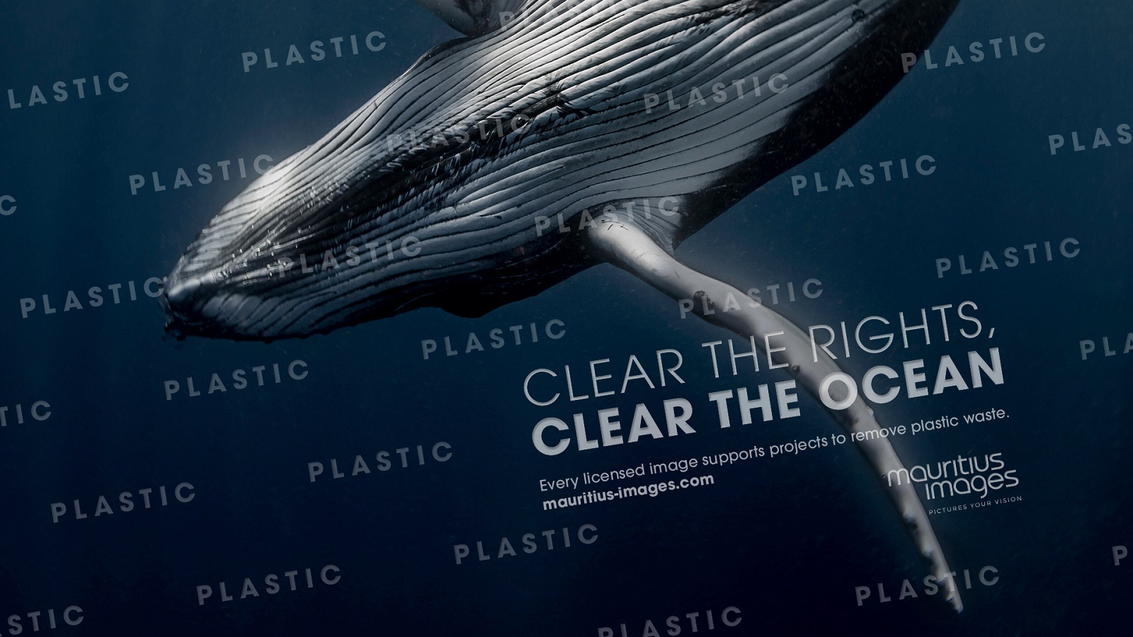 Stock Image Agency Rethinks Its Watermark to Help the Ocean
